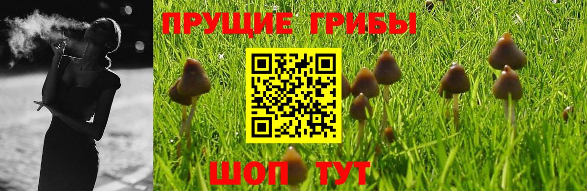 Галлюциногенные грибы прущие грибы  Псилоцибиновые грибы Magic Shrooms  Вход с VPN  Славгород 